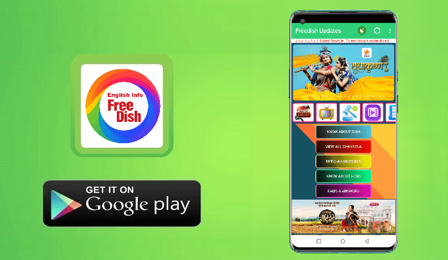 DD Freedish Banner